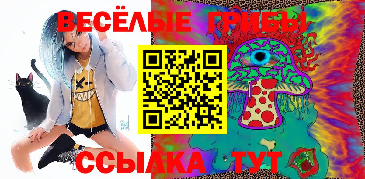 Галлюциногенные грибы GOLDEN TEACHER  купить   Гуково  Вход с VPN 